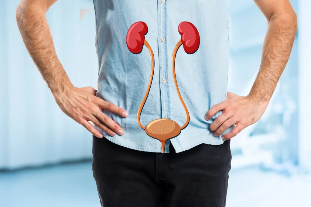 Prostate and bladder health evaluation at a private urology clinic in Birmingham